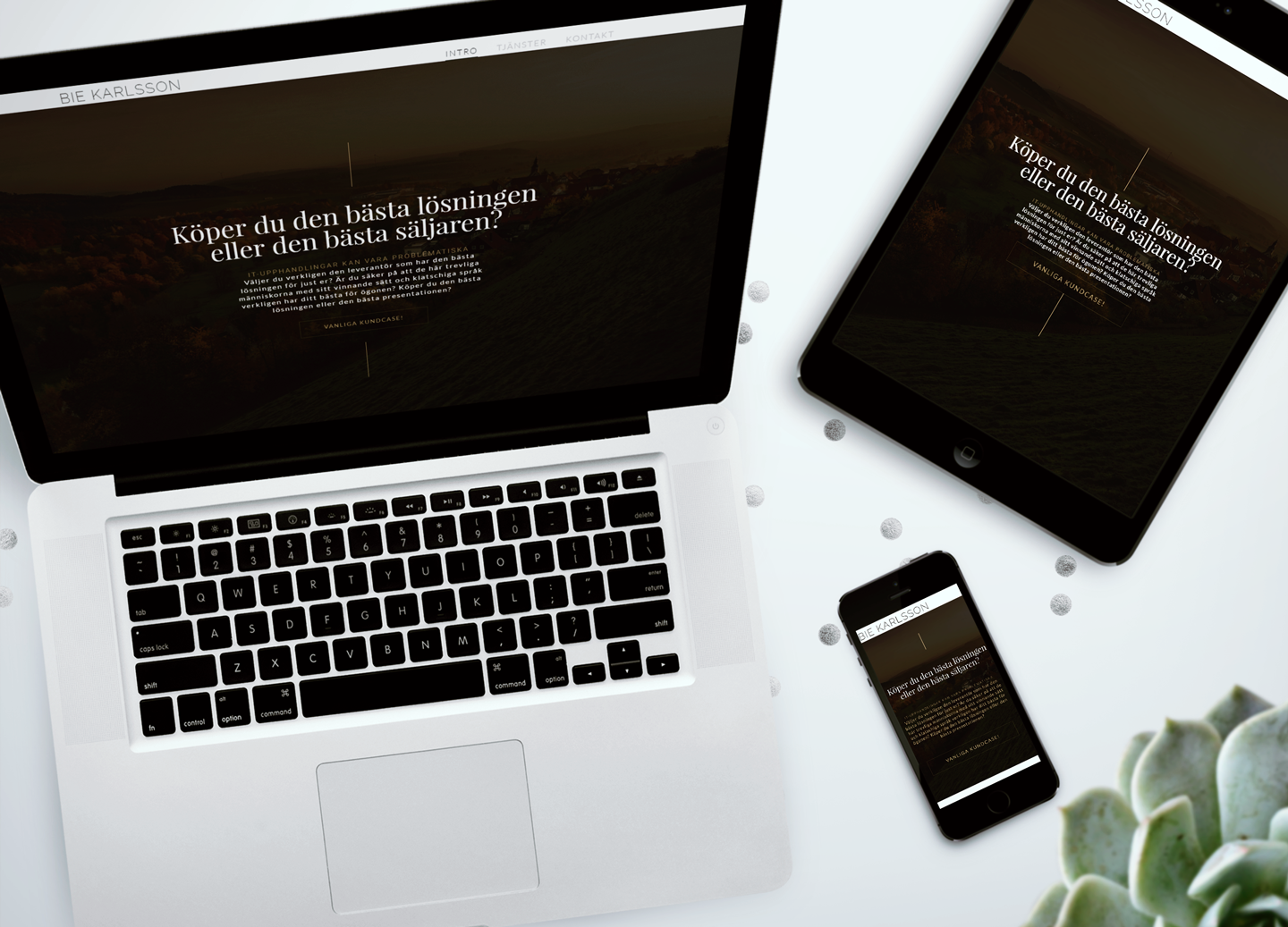 Ett av våra tidigare projekt 